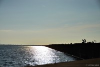 /album/%e5%a4%8f/%e3%83%91%e3%83%91%e3%81%82%e3%80%80%e9%87%a3%e3%82%8c%e3%81%9f%e3%81%82%ef%bc%9f-jpg/